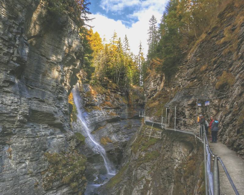 Steg Herbst 1